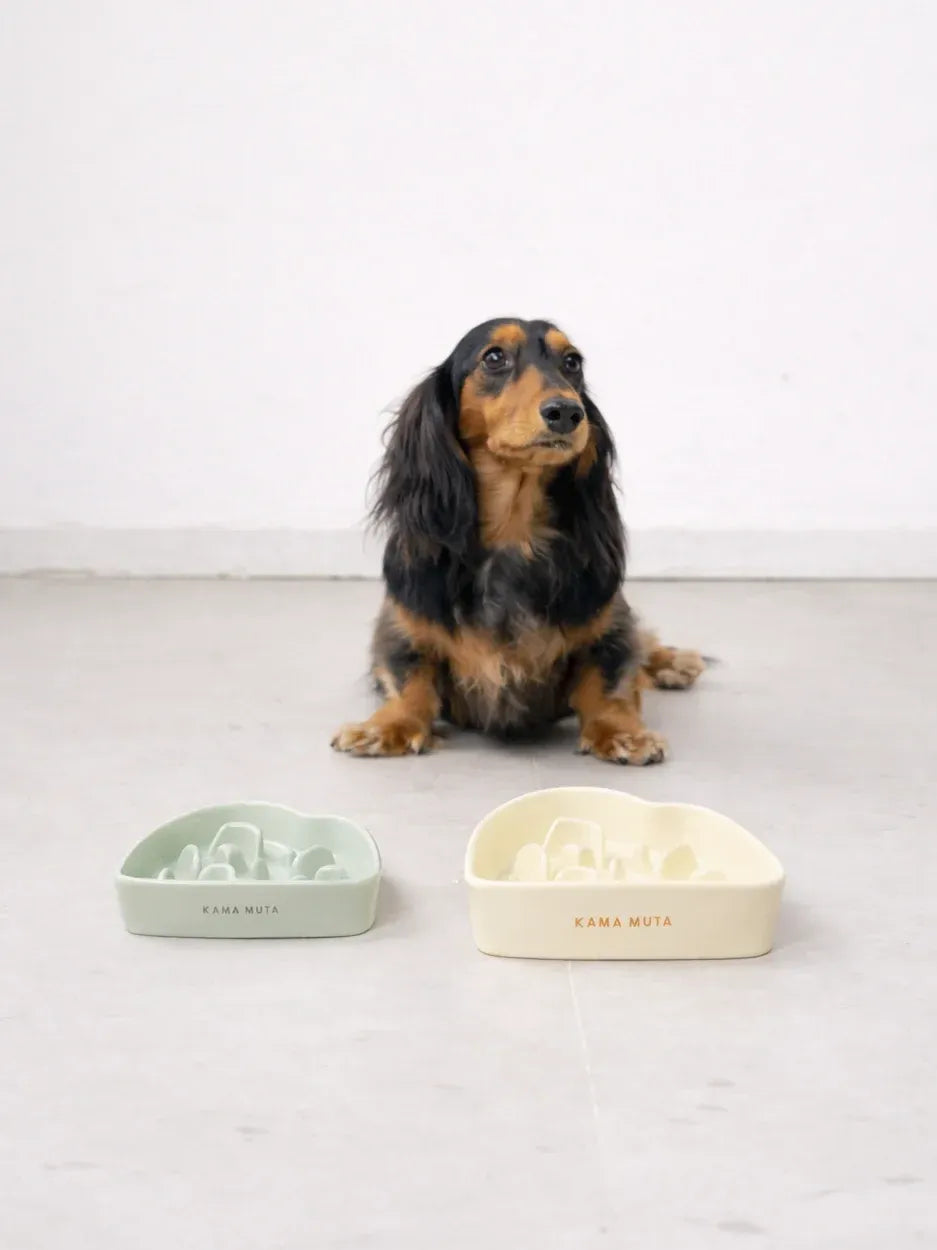 Kama Muta Amidst the Mountains · Slow Feeder Bowl