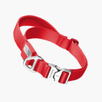 Buddy Armor Light-Alloy Collar (Pro)