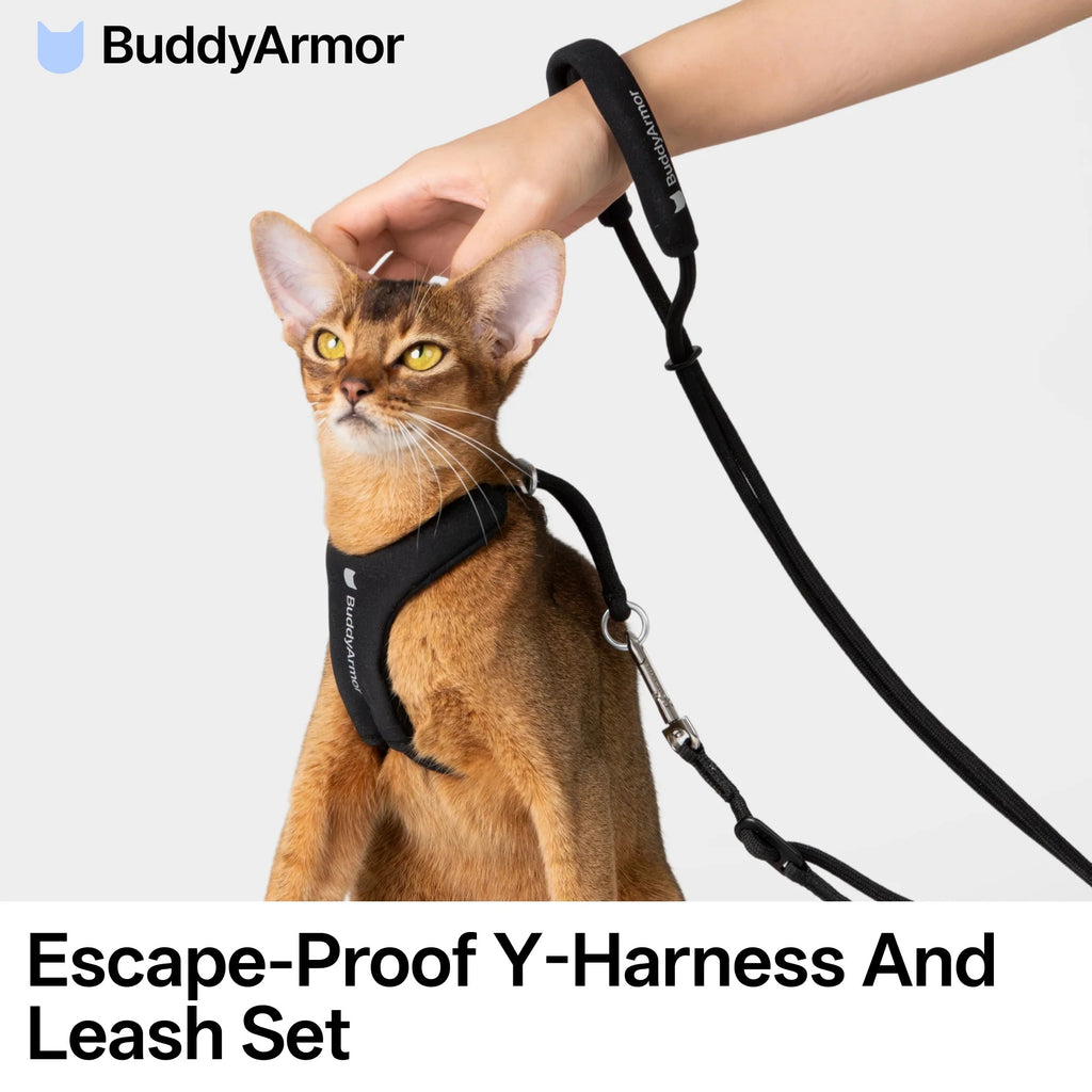 Buddy Armor Escape-Proof Y-Harness and Leash Set