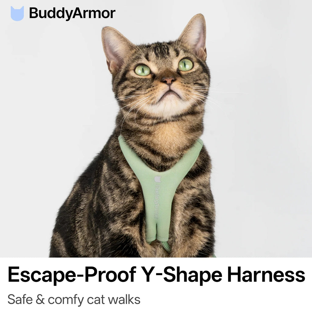 Buddy Armor Escape-Proof Y-Shape Harness
