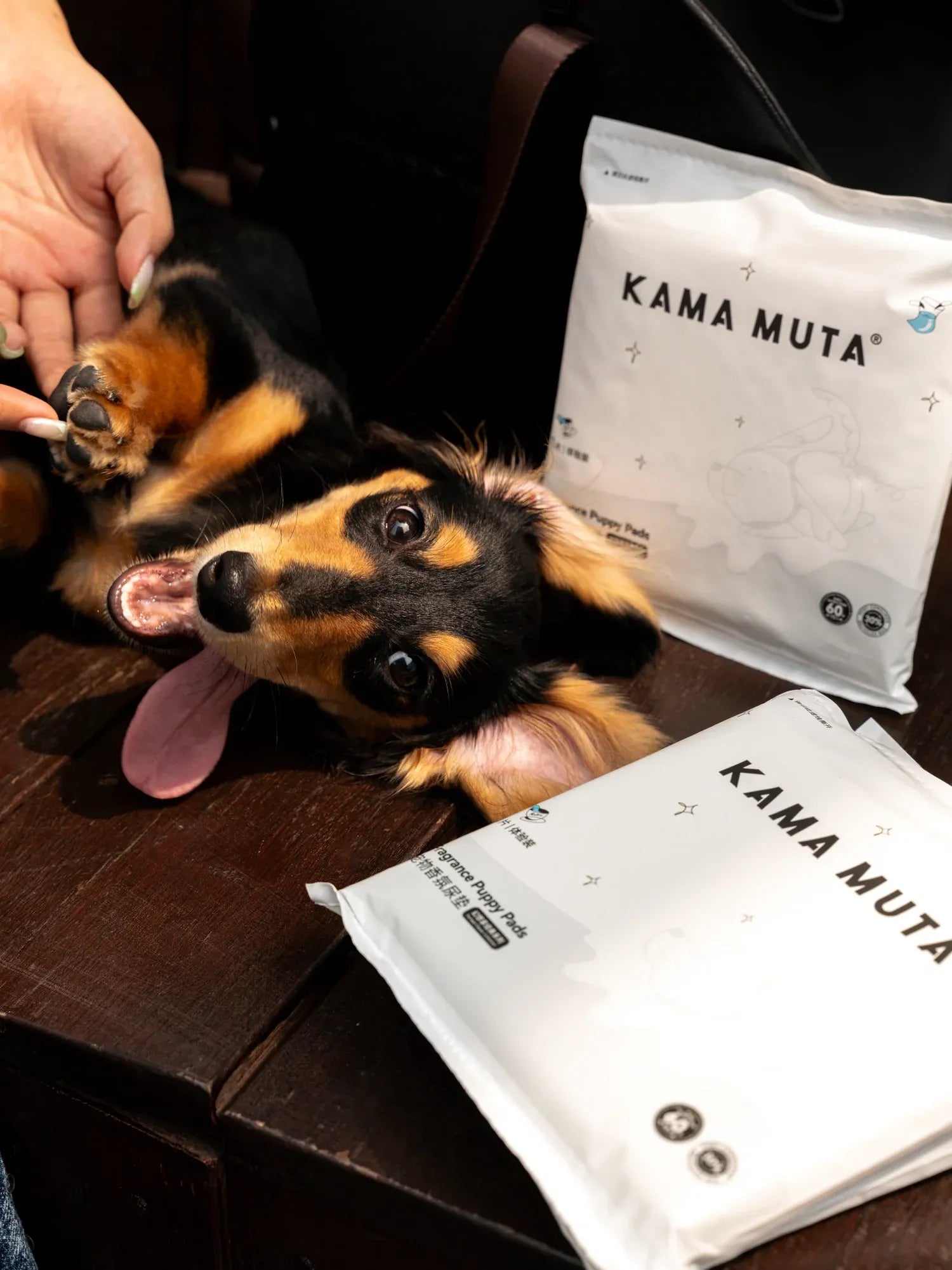Kama Muta Dog Pee Pads Training Sample Trial Signature Scents